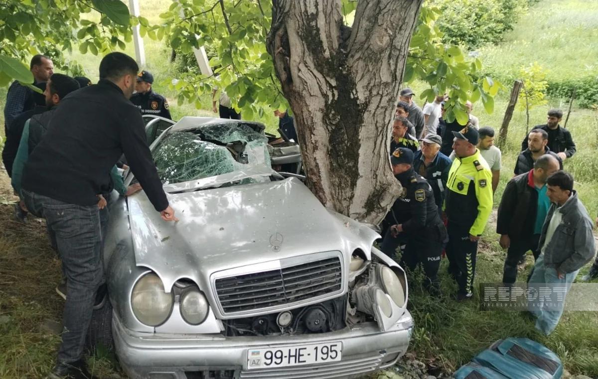 Oğuzda dəhşətli qəza: "Mercedes" ağaca çırpıldı, yaralılar var